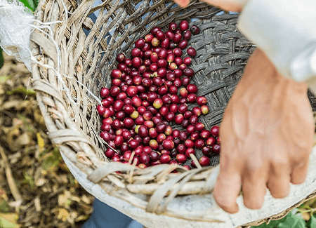 SIMPLE BUT COMPLEX (SADE/YALIN AMA KARMAŞIK)