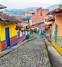ANDES