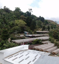 Las Torres Kosta Rika Filtre Kahve - Montag Coffee