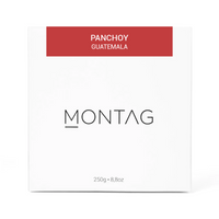 PANCHOY