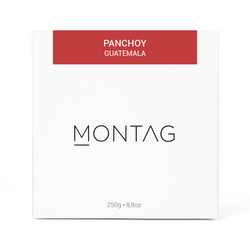 PANCHOY