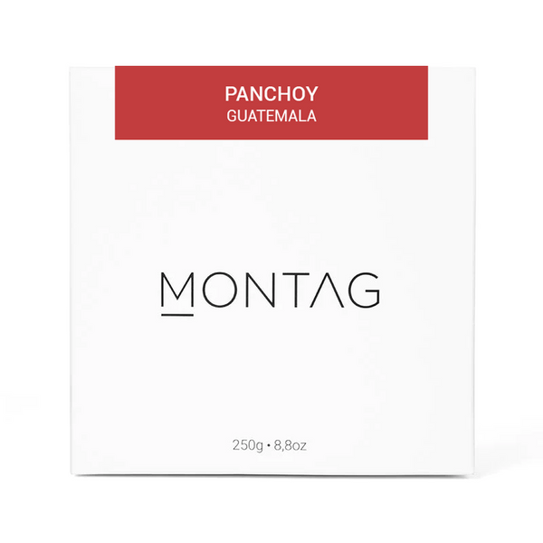 PANCHOY