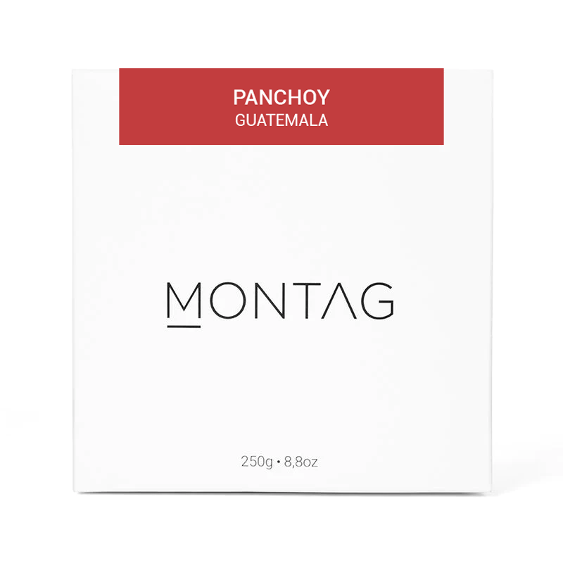 PANCHOY