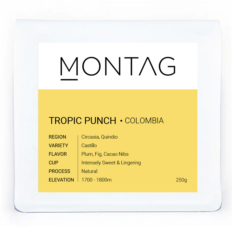 TROPIC PUNCH